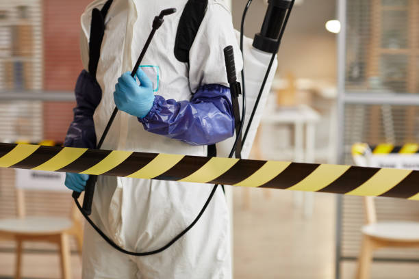 Professional Sewage Cleanup technician working in Rutherford, CA